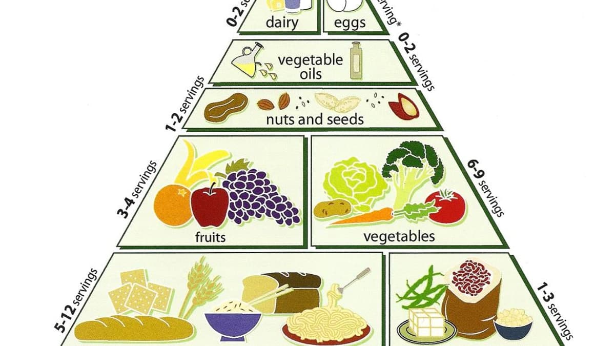 World Vegetarian Day 2026: दूध से है एलर्जी या पसंद नहीं? डायटिशियन से जानें कैल्शियम की कमी दूर करने वाले 5 बेहतरीन फूड्स