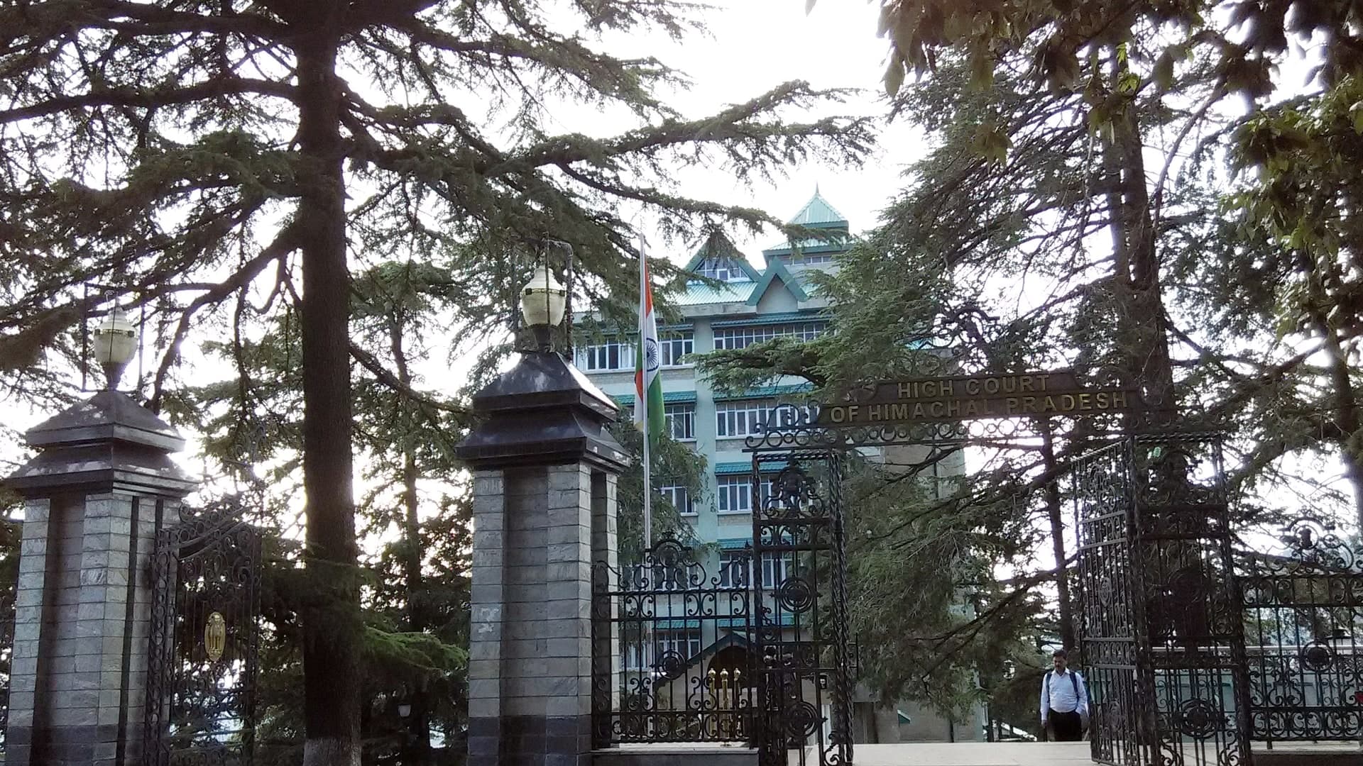 हिमाचल हाईकोर्ट का बड़ा फैसला: सरकारी डॉक्टरों को मिलेगा 7000 रुपये मासिक उच्च शिक्षा भत्ता, सरकार को निर्देश