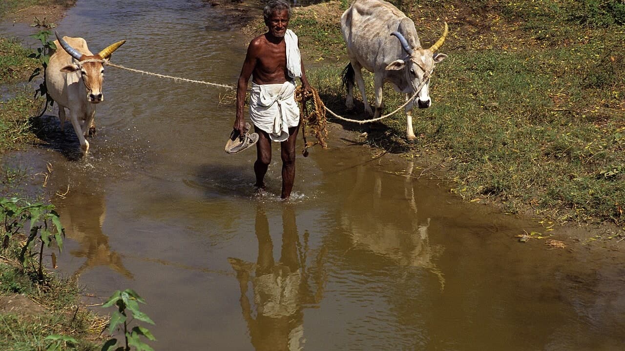 तमिलनाडु में राजनीतिक उथल-पुथल, मौसम की मार और भाषाई विवाद: एक गहरी ग्राउंड रिपोर्ट