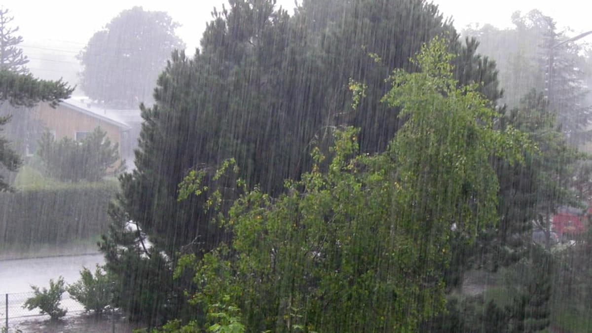 मानसून की विदाई और ज़मीनी हक़ीक़त: कहीं आफत की बारिश तो कहीं सूखे की मार