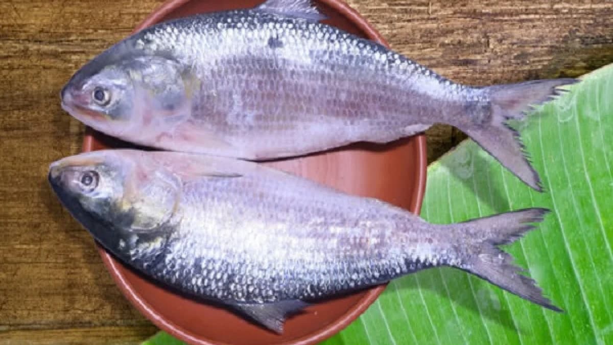 भारत की आयात नीति: तेल से लेकर खिलौनों तक, बदलती वैश्विक आपूर्ति श्रृंखला का सच
