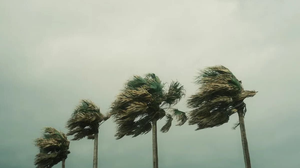 Hurricane season maps tracker: latest forecasts and more