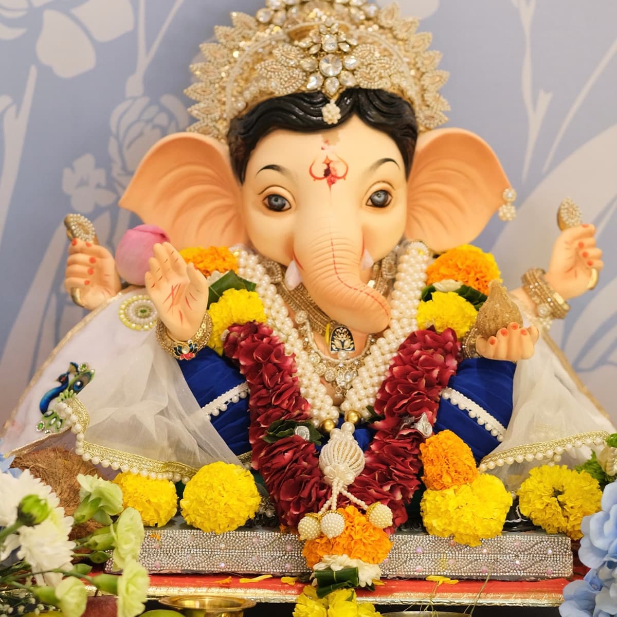 सामने आए इस खास वीडियो में दिव्यांका बप्पा की भक्ति में पूरी तरह लीन नजर आ रही हैं।
