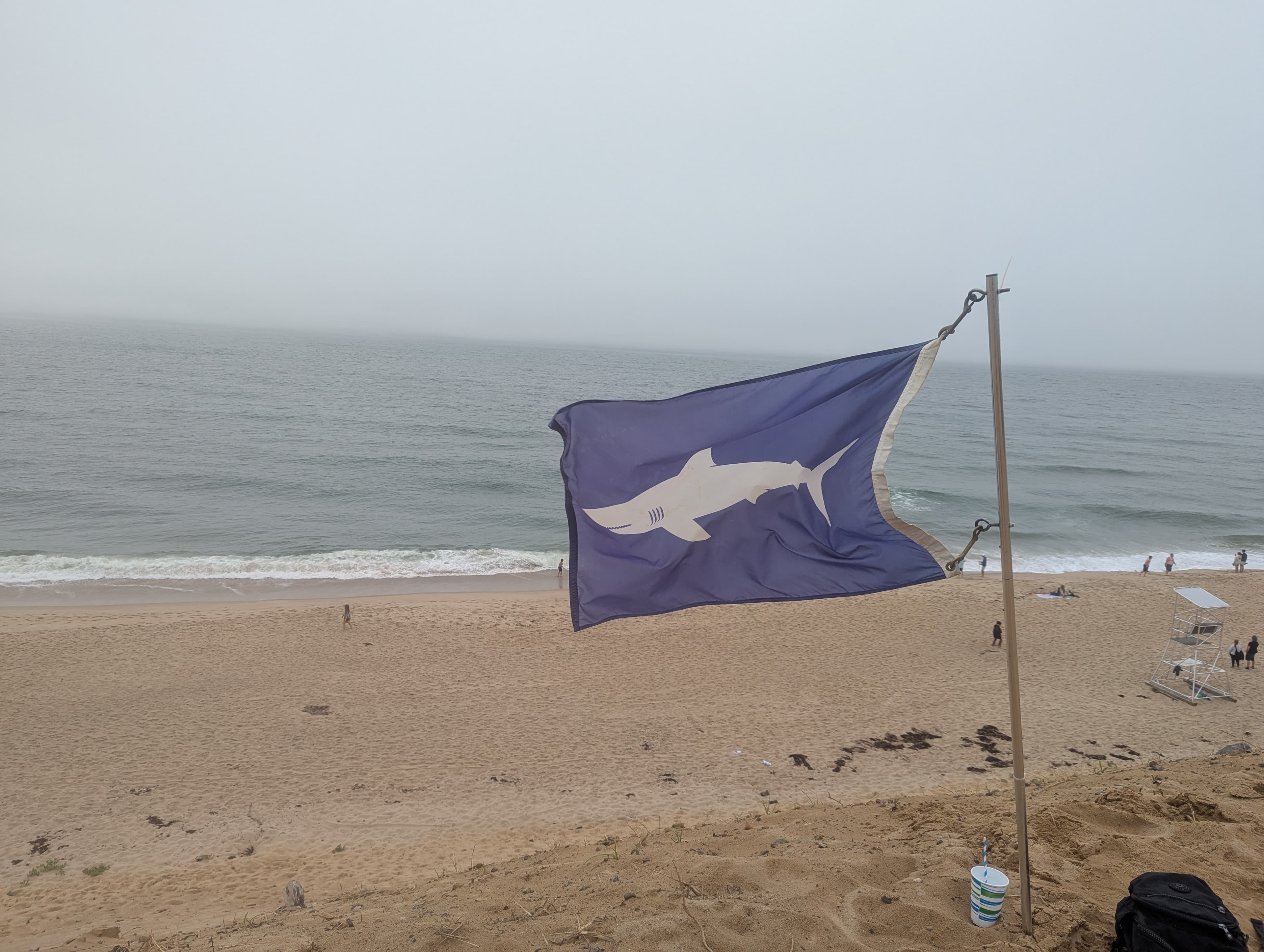 Video: Terrifying Scene in Ocean as Shark Attack Turns Water Red and Swimmer Disappears