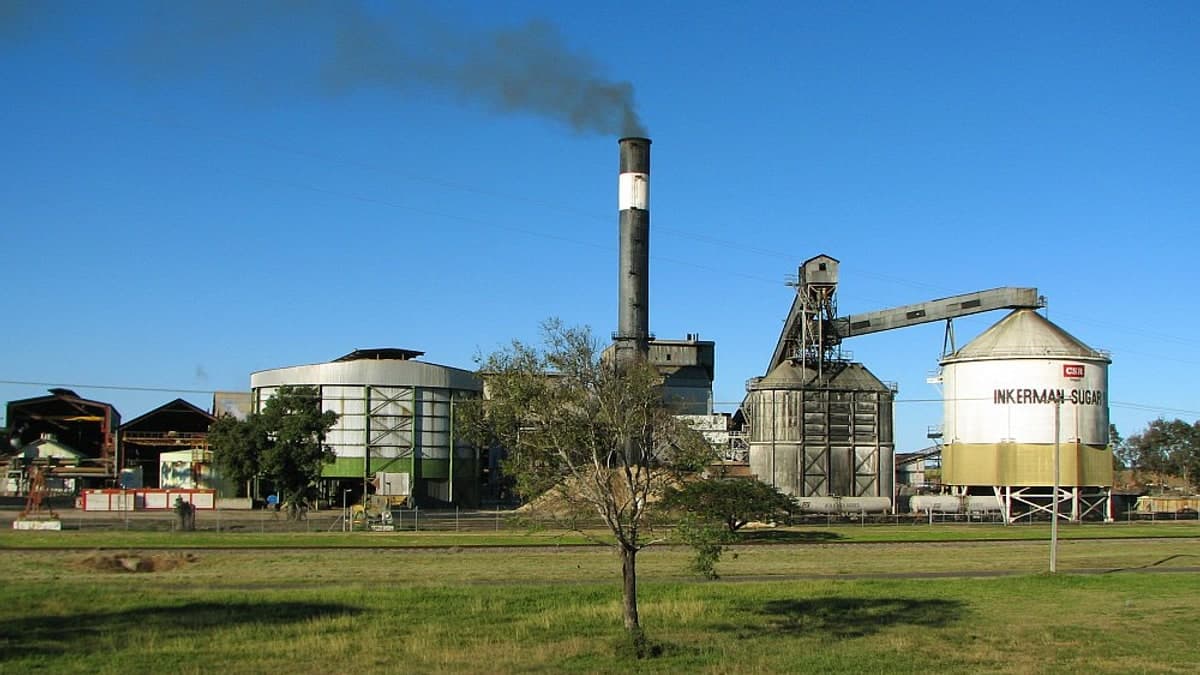 Why Are Sugar Mills Shutting Down in 90 Days? Government Orders Probe Into Short Crushing Seasons