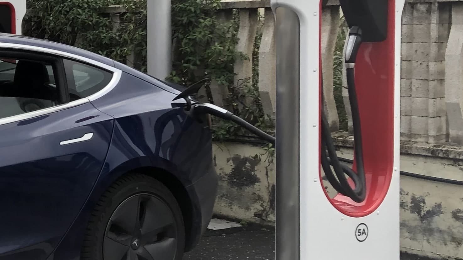 Major Upset in Indian Electric Car Market: Tata and Mahindra Dominate, Maruti Suzuki Out of Top 5
