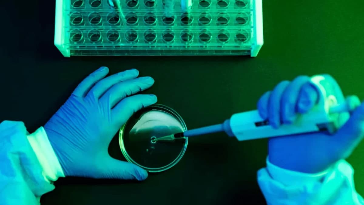 Lancet Oncology Report: 1.9 Lakh Cancer Cases in India Annually Linked to Infections