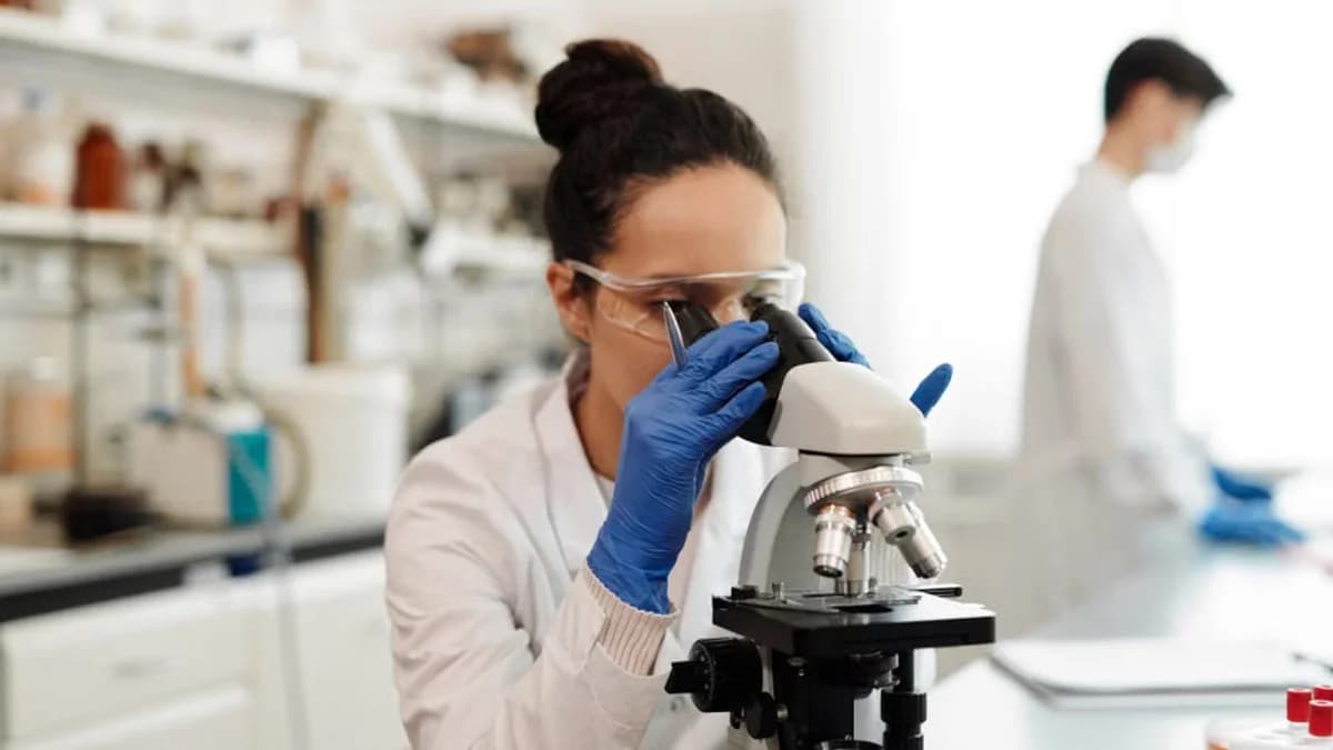 Groundbreaking Neuroscience Discoveries Honored with Prestigious Nobel Prize