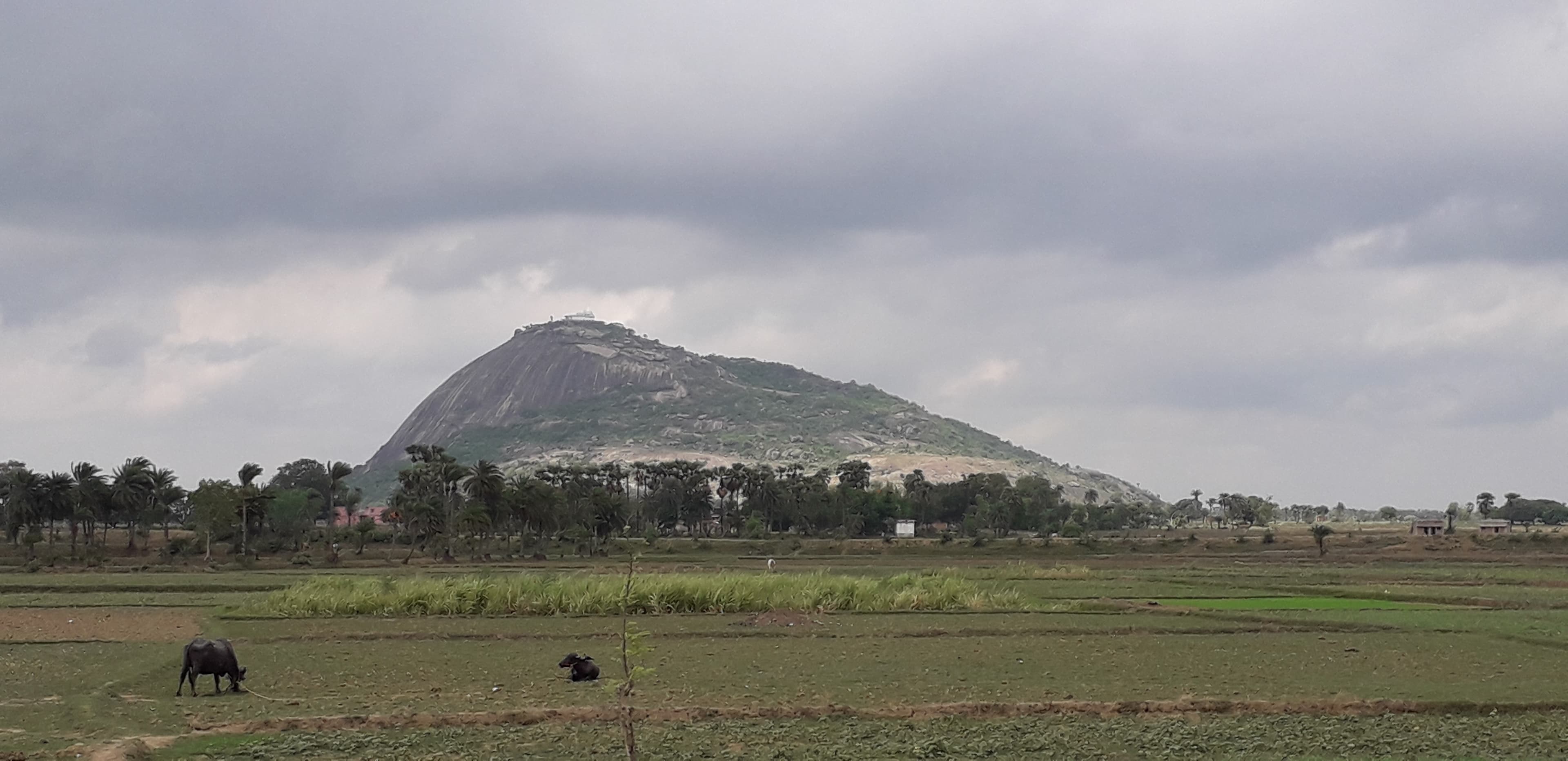 Shocking Video Surfaces from Bihar: Youths Harass Girl at Mandar Hill, Triggering Outrage