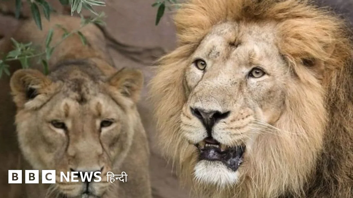 तेजस्विन शंकर ने यूएसएटीएफ थ्रो फेस्टिवल 2024 हाई जंप का खिताब जीता