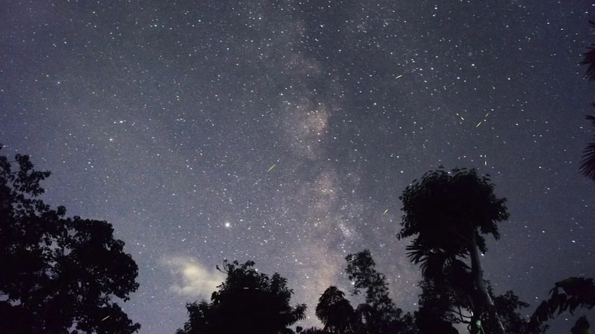 इंडोनेशिया में धधक रहे जंगल, धुएं ने ढका आसमान... मलेशिया-सिंगापुर तक पहुंची जहरीली धुंध