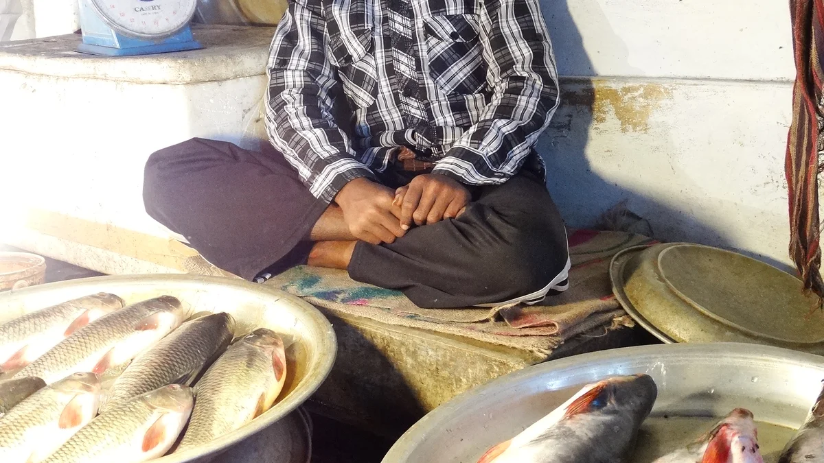 वीडियो: बाजार में बिकने वाली मछली को ताजा दिखाने के लिए किया जा रहा ऐसा खेल, देखकर उड़ जाएंगे होश