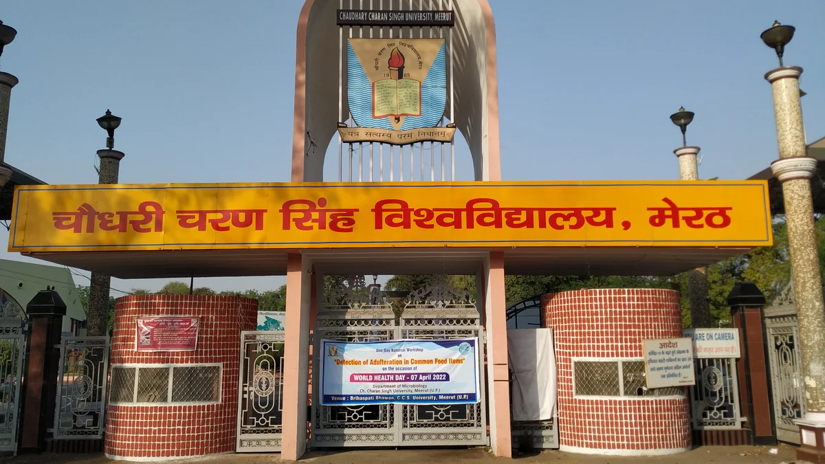 जिस जेल की थीं प्रभारी, अब उसी में कैदी बनकर लौटीं जेलर दिव्या चौधरी! जानिए क्या है पूरा मामला