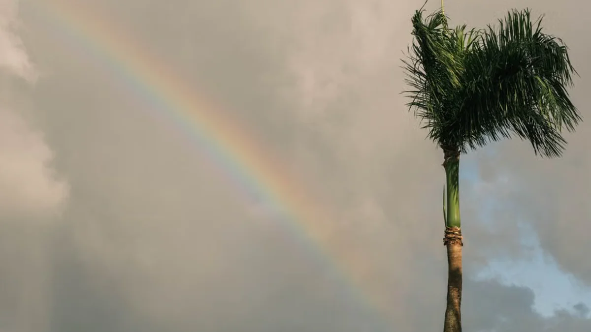 Tropical Storm Isaias churns in Gulf; parts of Florida under hurricane watch