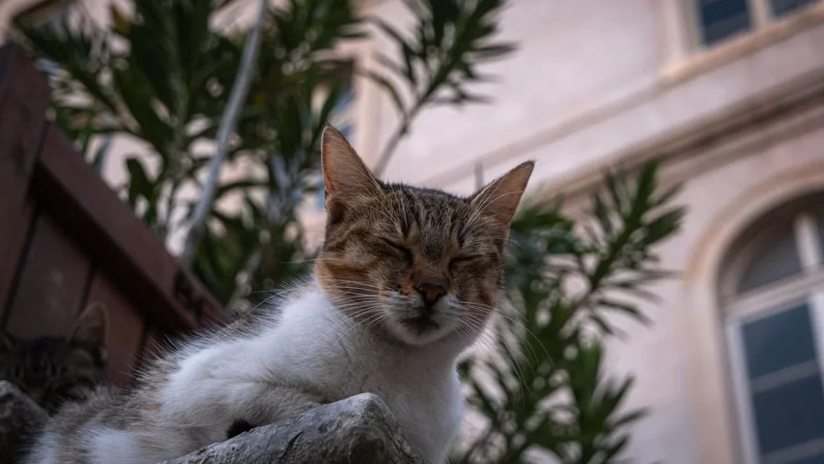 Nicole Kidman Haunts Cate Blanchett in Wild New Off-Broadway Comedy ‘A Kidman Carol’ (Exclusive)