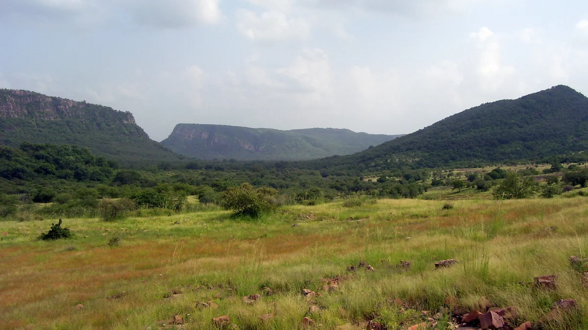 High-Tech Sensors in Ranthambore: Early Warning Alarm System to Prevent Leopard-Human Conflict