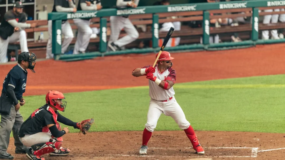 Yankees Swept in ALDS After Controversial Fan Interference Call Against Rays