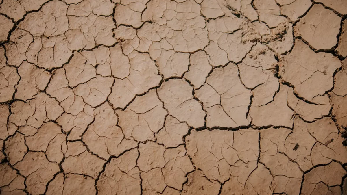 Scientists Warn of Severe Global Impacts from Record-Breaking El Niño