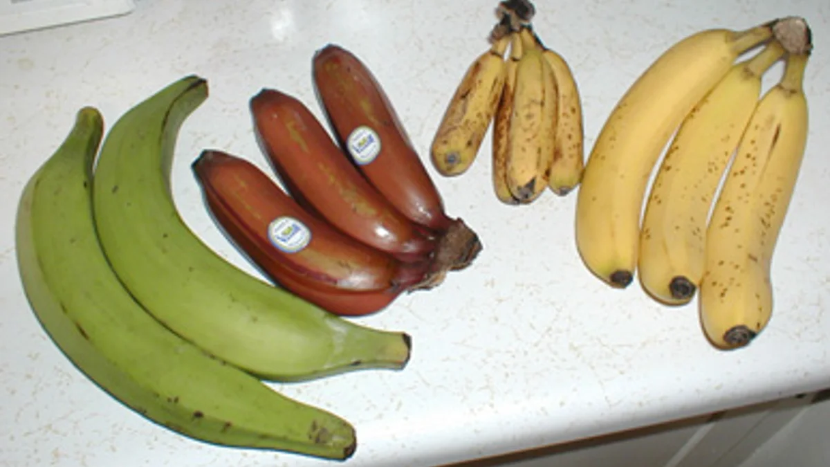 Ditch Dry Sabzi: Make Spicy Raw Banana Curry for Lunch, Tastes Best with Rice and Roti