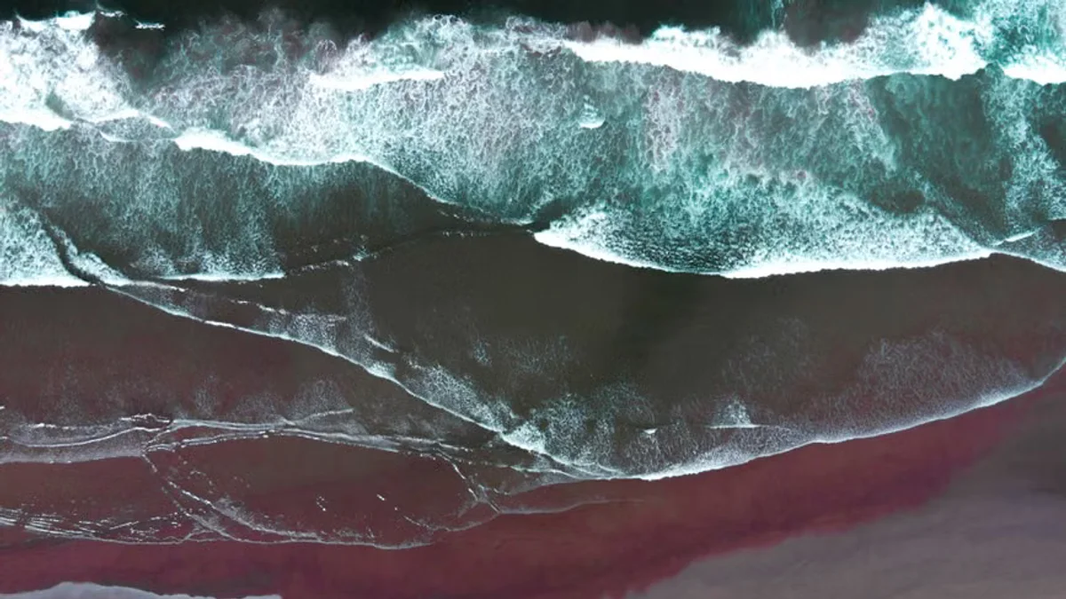 Scientists Monitor Kelvin Wave Activity Along North American West Coast