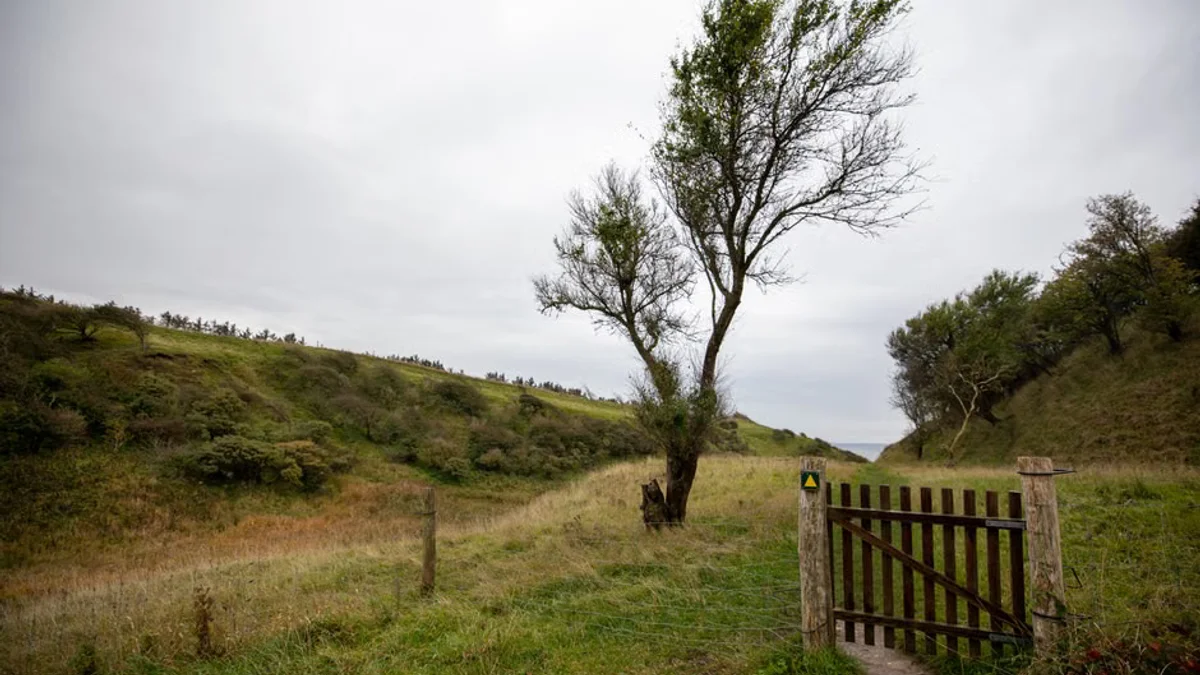 Daniel Graham Case Updates: Sycamore Gap Tree Felling Legal Developments