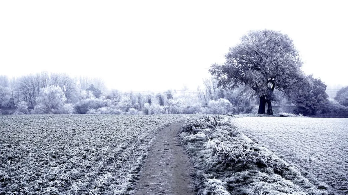 Met Office Warns of Potential Polar Vortex Disruption and Severe Winter Weather