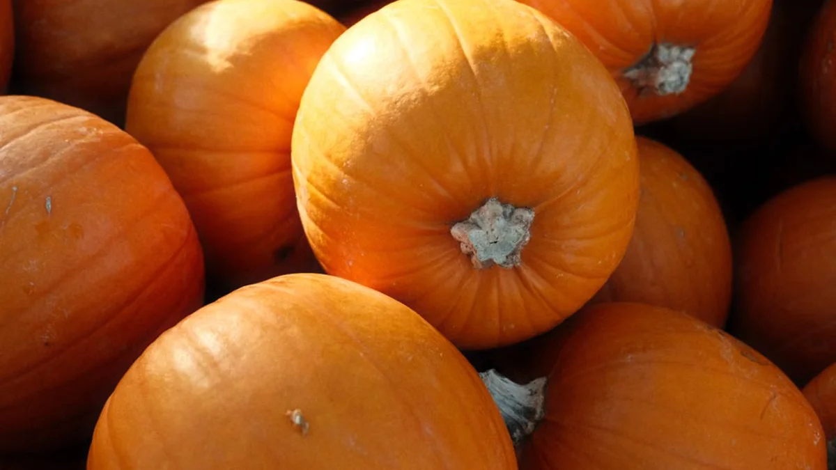 Watch: US man eyes pumpkin world record after fifth contest win