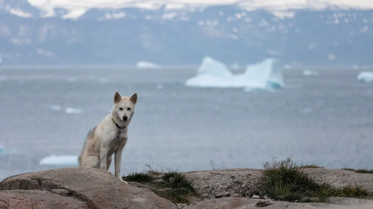 Arctic Energy Diplomacy Intensifies Amid US Gas Exploration Interest in Greenland