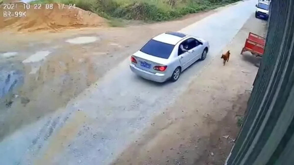 Video: Daring Thief Steals Car in Just 3 Minutes Despite Engine Failing Repeatedly; Entire Incident Caught on CCTV