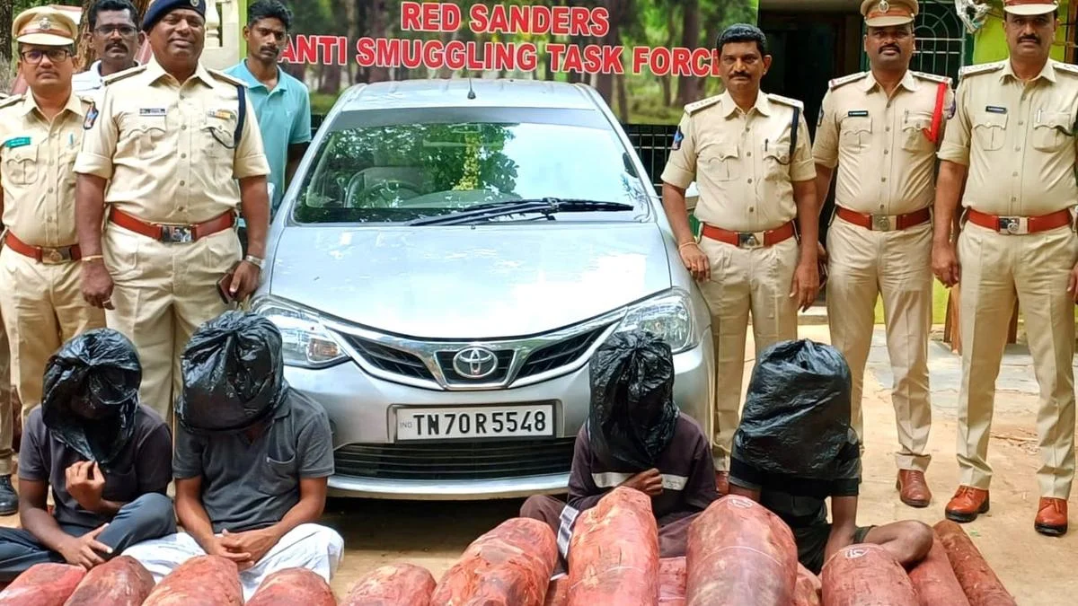 कॉफी पाउडर के कार्टन के नीचे छिपाई थी करोड़ों की लकड़ी, फिल्मी स्टाइल में लाल चंदन की तस्करी का भंडाफोड़