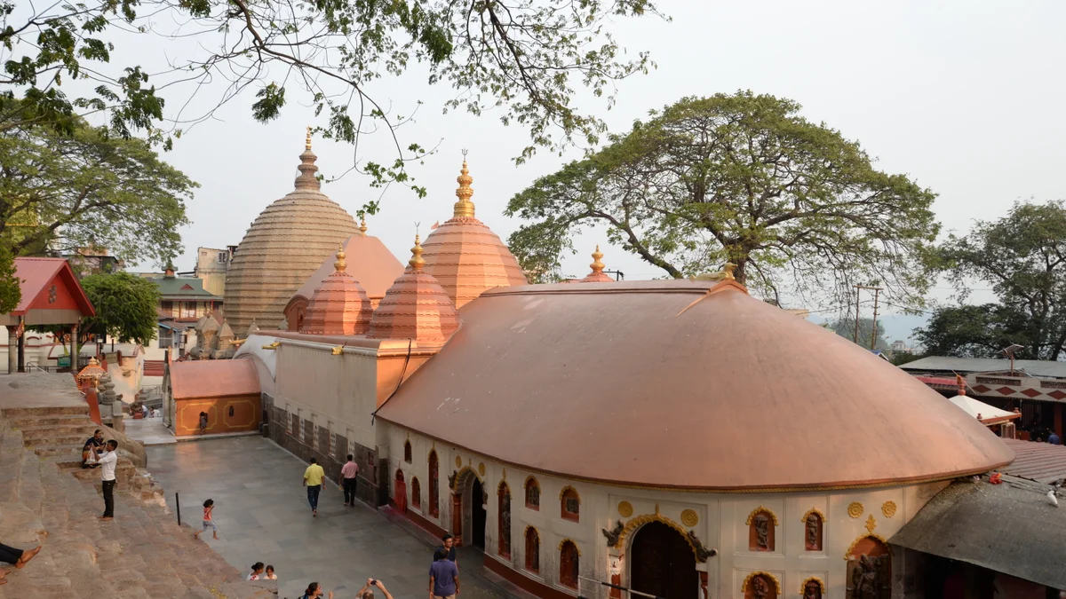 देवी को नॉनवेज का भोग: देश के इन प्रसिद्ध मंदिरों में चढ़ाया जाता है मछली और बकरे के मांस का प्रसाद