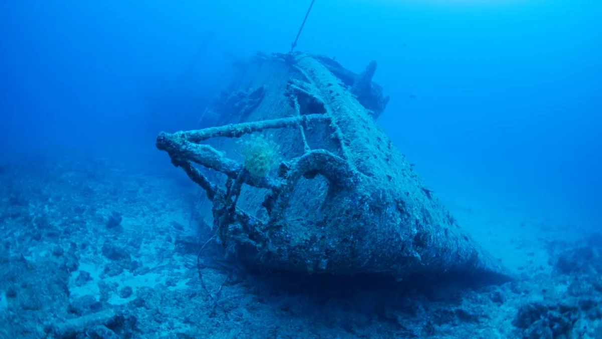 World’s Oldest Shipwreck Discovered Off Turkish Coast