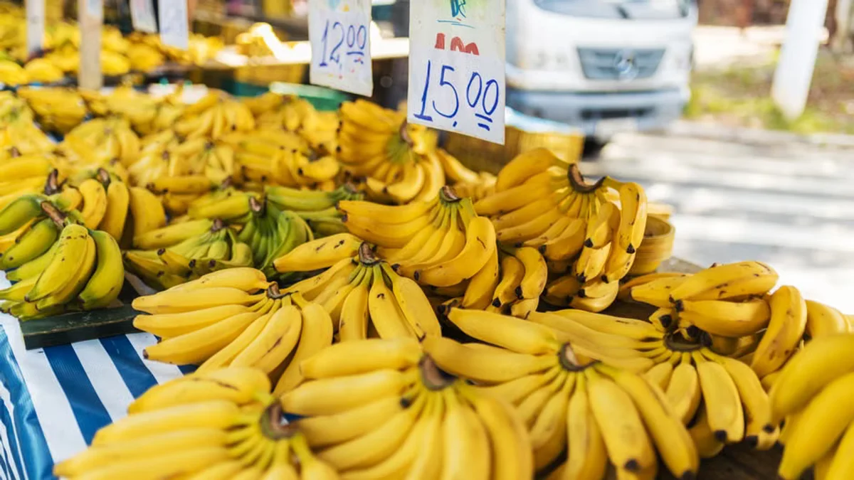 Savannah Bananas coming to Canada, Mexico in 2027