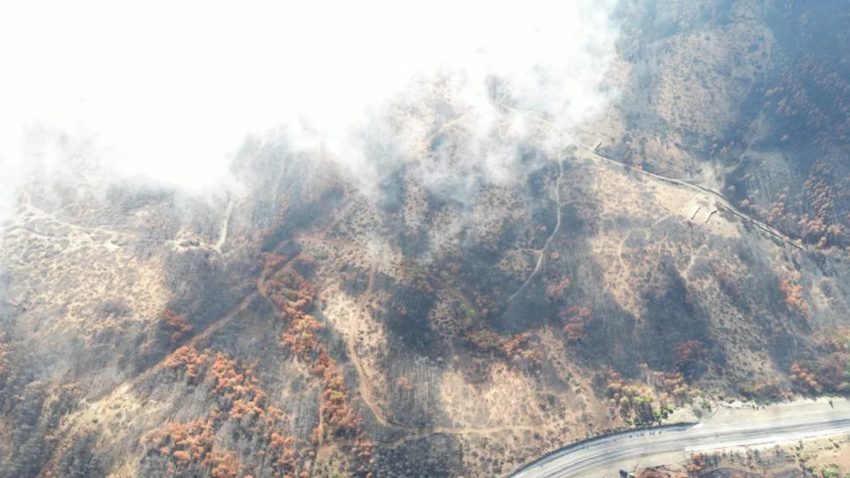 First Resources Attributes Kalimantan Hotspots to El Nino and Transboundary Haze