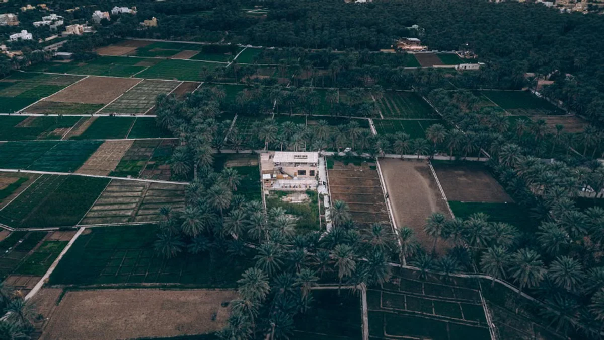 First Resources Reports Strong Q3 Palm Oil Production Amid Supply Tightness