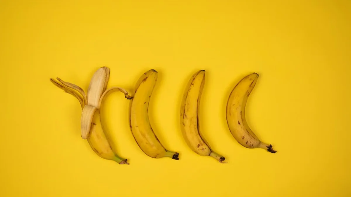 Banana Ball Returns to Delta Dental Park at Hadlock Field in 2027