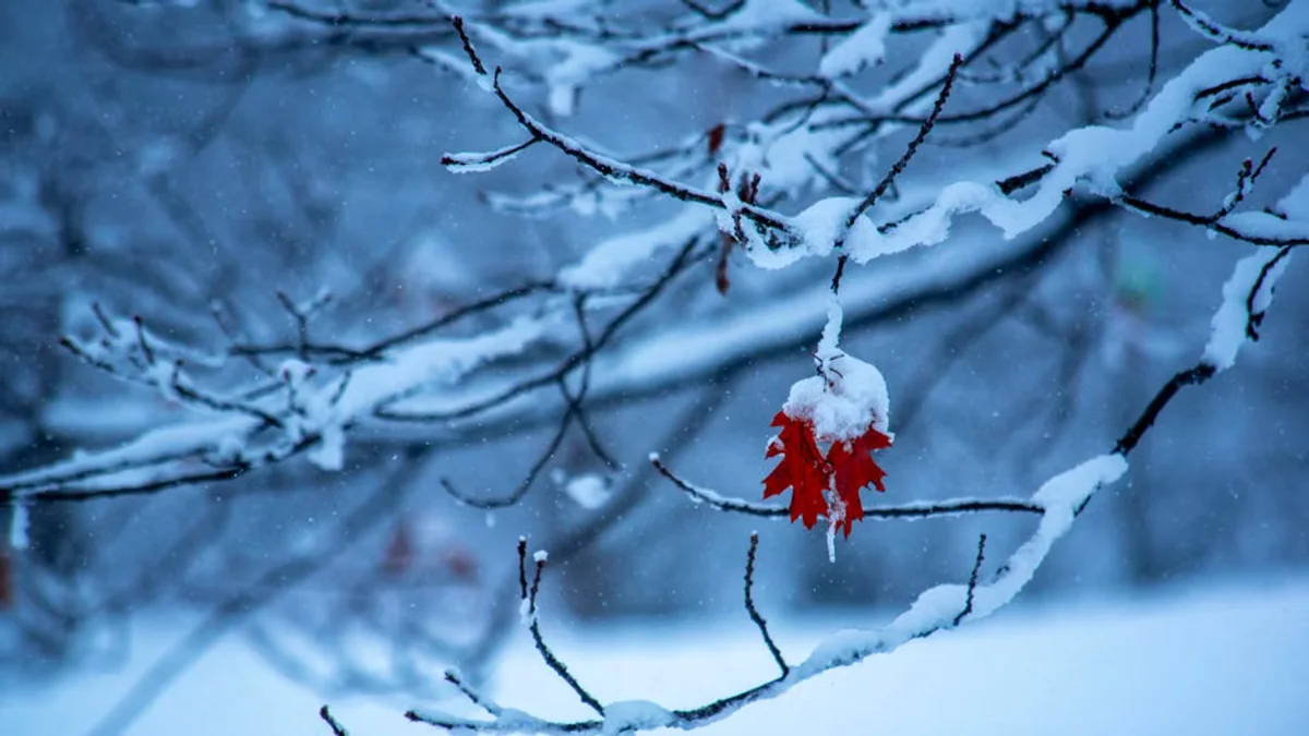 Meteorologists Release Winter Weather Forecast Predicting Volatile Temperature Swings
