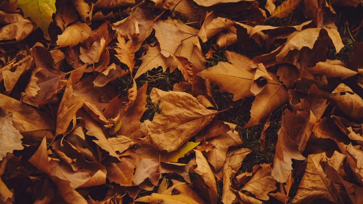 UK Prepares for Daylight Saving Time End: When Do Clocks Go Back?