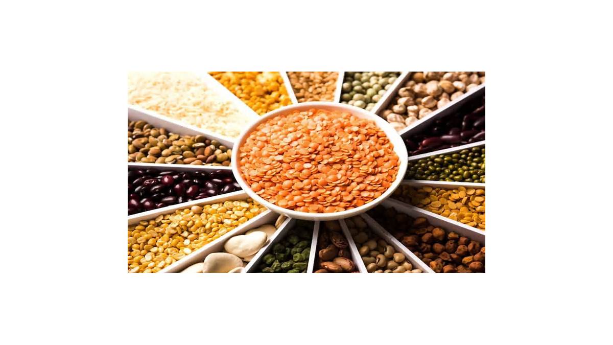 भारत के आयात बाजार में बड़े बदलाव: चीनी सामान का शिकंजा, रूसी तेल के विकल्प और पाम तेल की नई तलाश