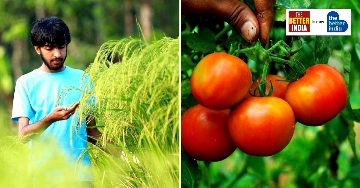 ईपीएफओ का बड़ा फैसला: क्या अब पंद्रह हजार से बढ़कर पच्चीस हजार रुपये होने वाली है वेज सीलिंग?